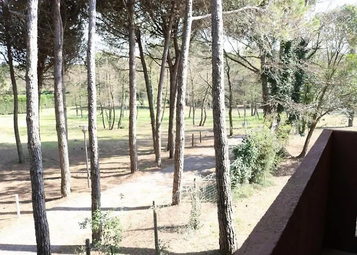 Quiet Flat Near The Beach-beahost Daire Bibione